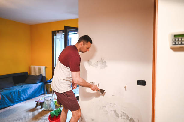Best Emergency Mold Remediation in Vinton, VA
